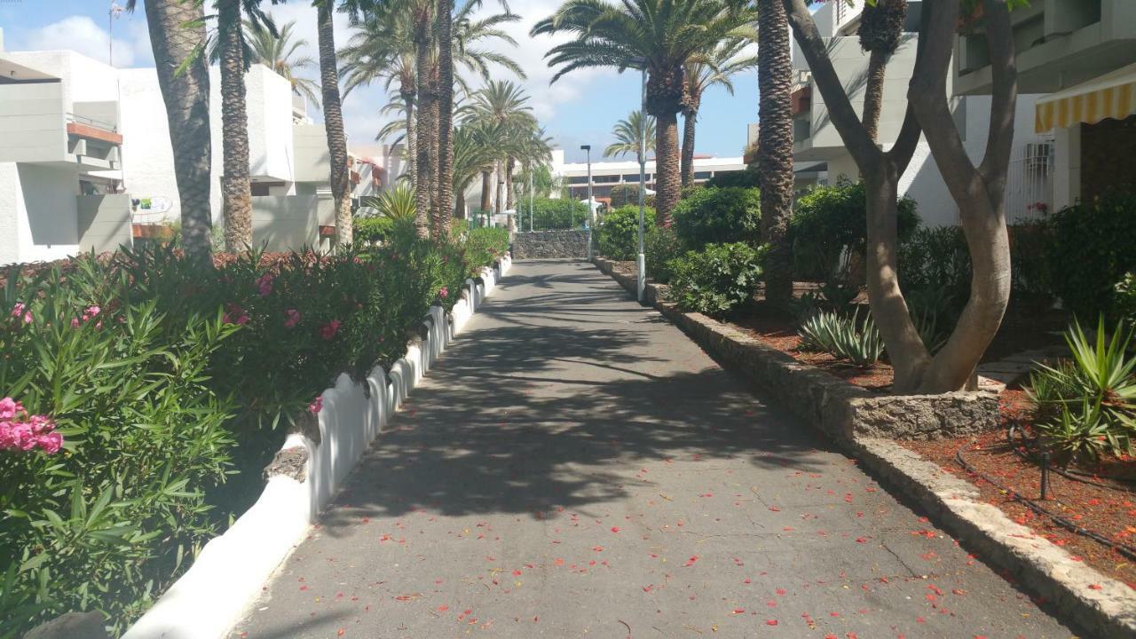 Residencial Primavera Costa del Silencio Exterior foto